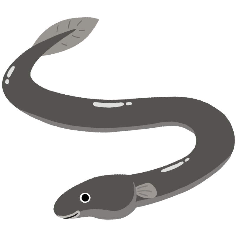 美女木グリーンパーク6