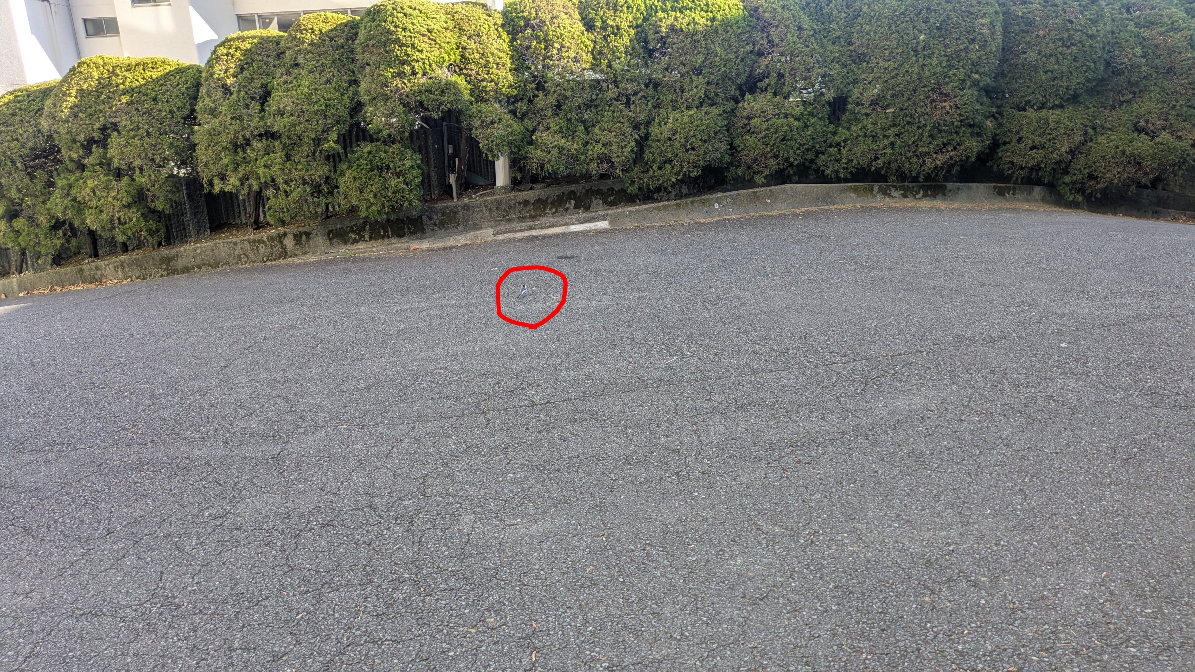 コンビニ役所22