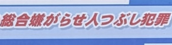 田久保真紀市長