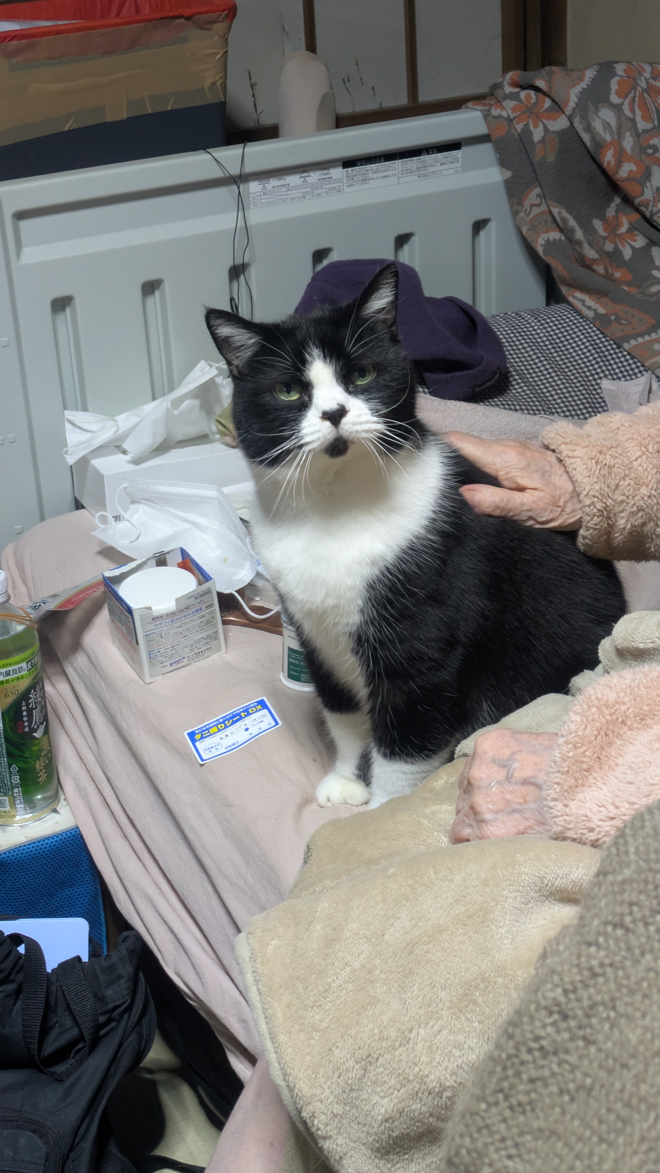 コンビニ役所23