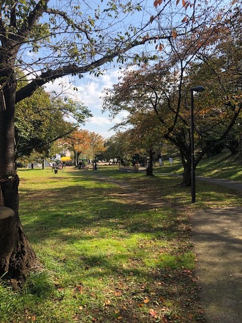 スポーツ三輪車大会in梶ヶ谷