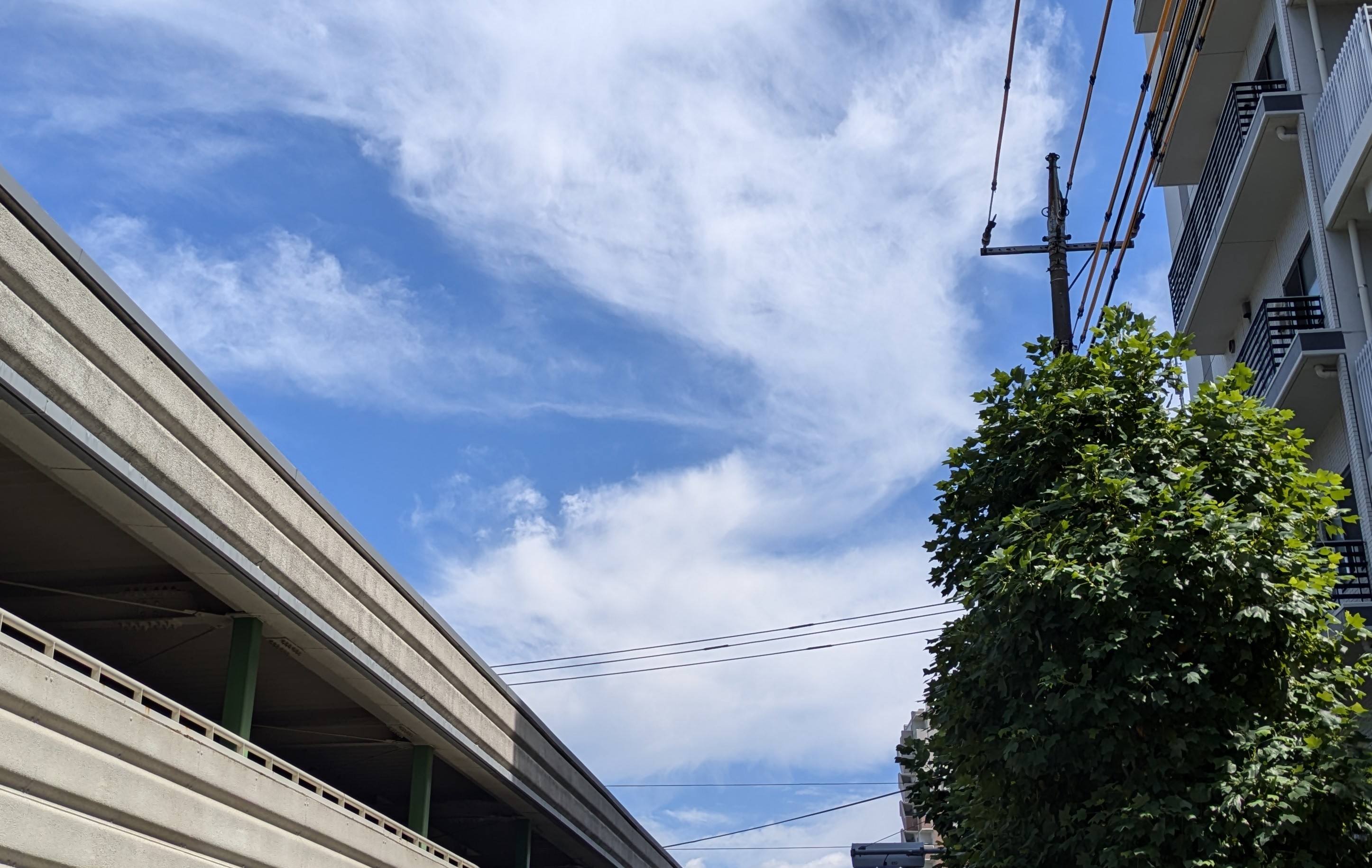 憲法尊重擁護義務