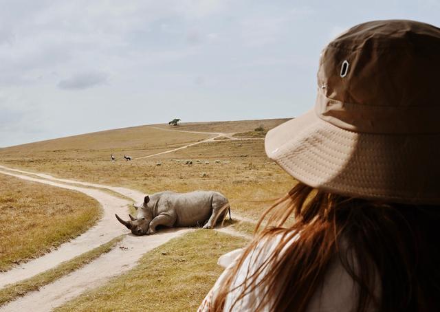 砂漠スペースコロニー計画