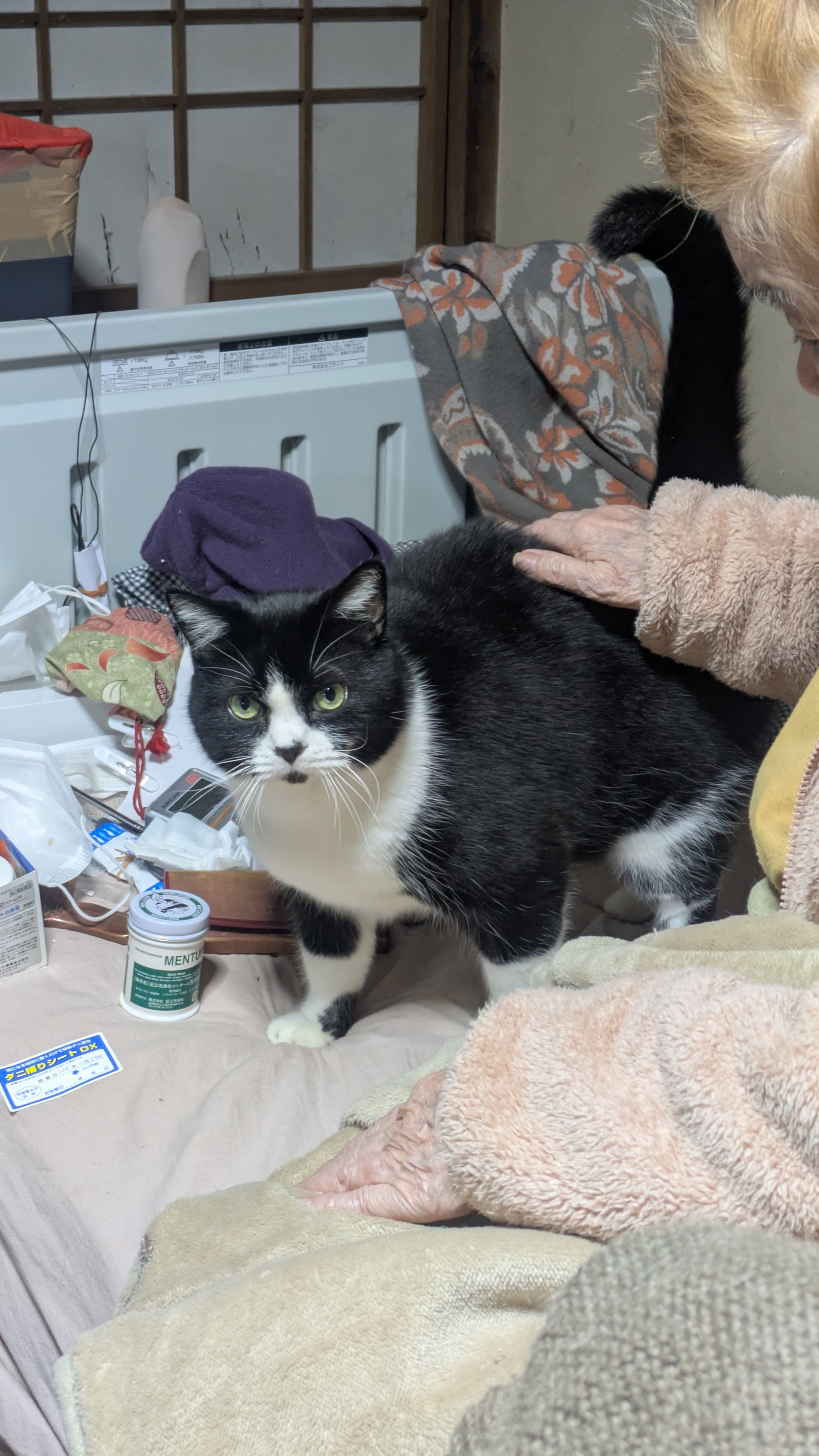 猫好きであられるとは（笑）