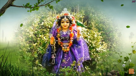 トゥラシーの杜、閉店します