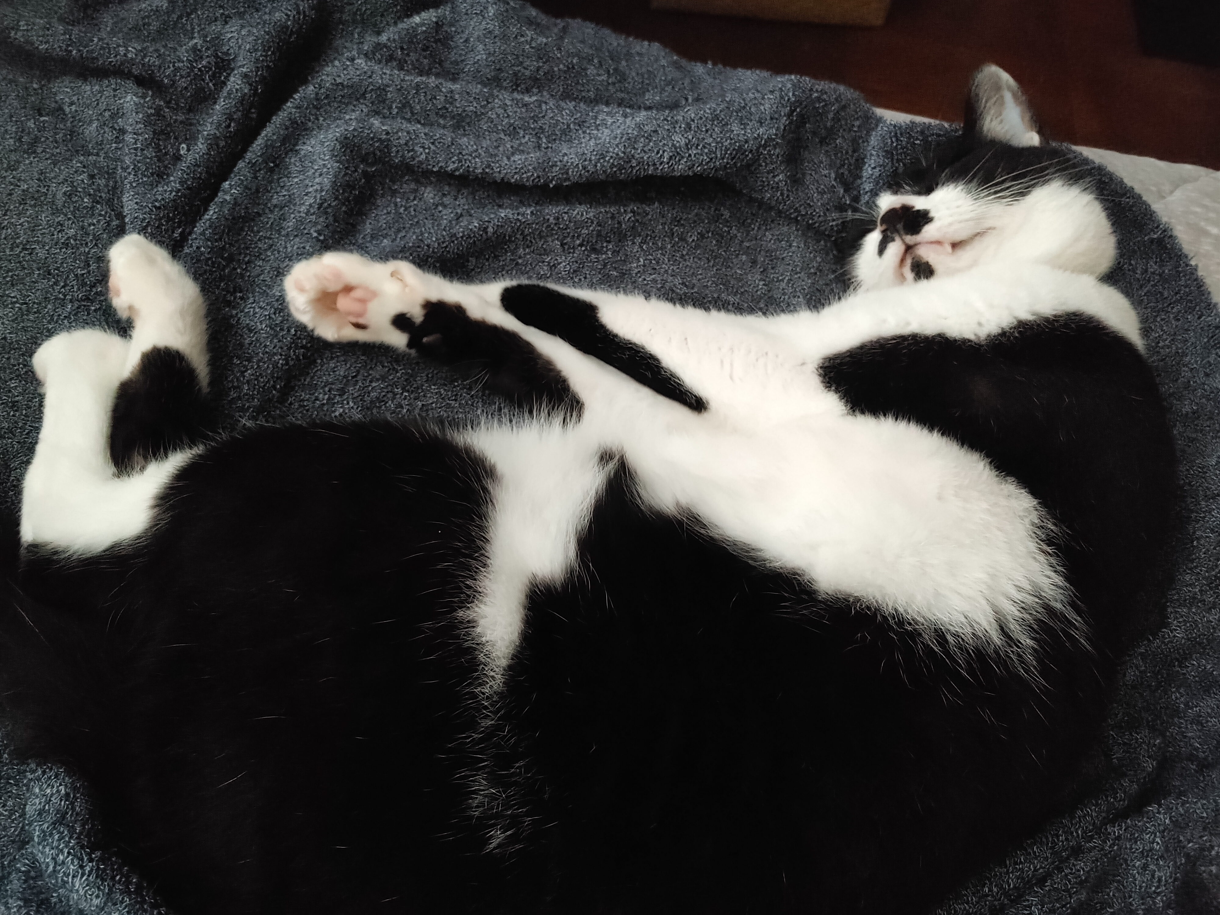 ないとうの不思議な話 ６６