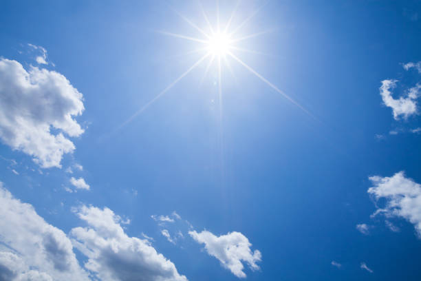 今年の夏は・・・
