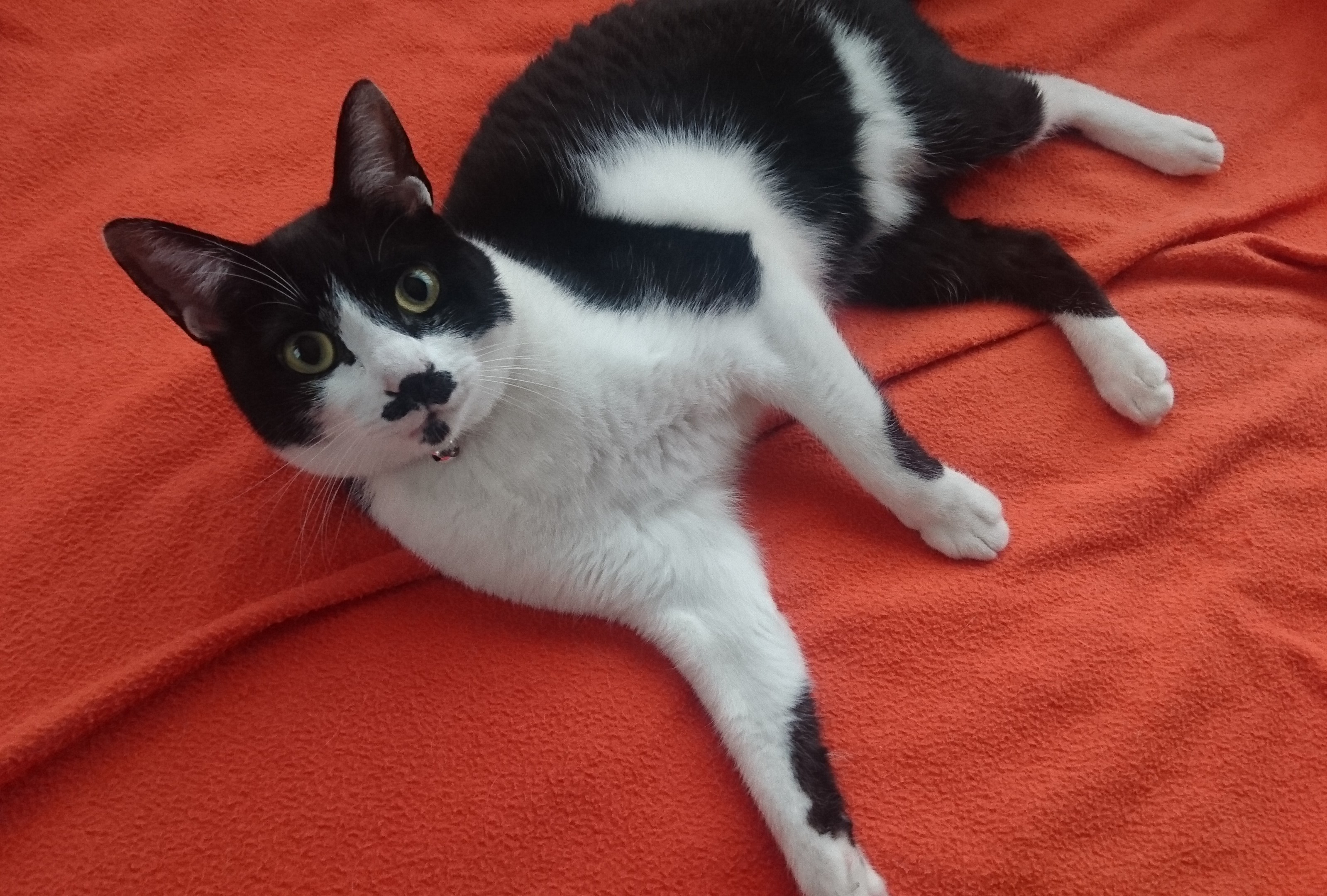 ないとうの不思議な話 65