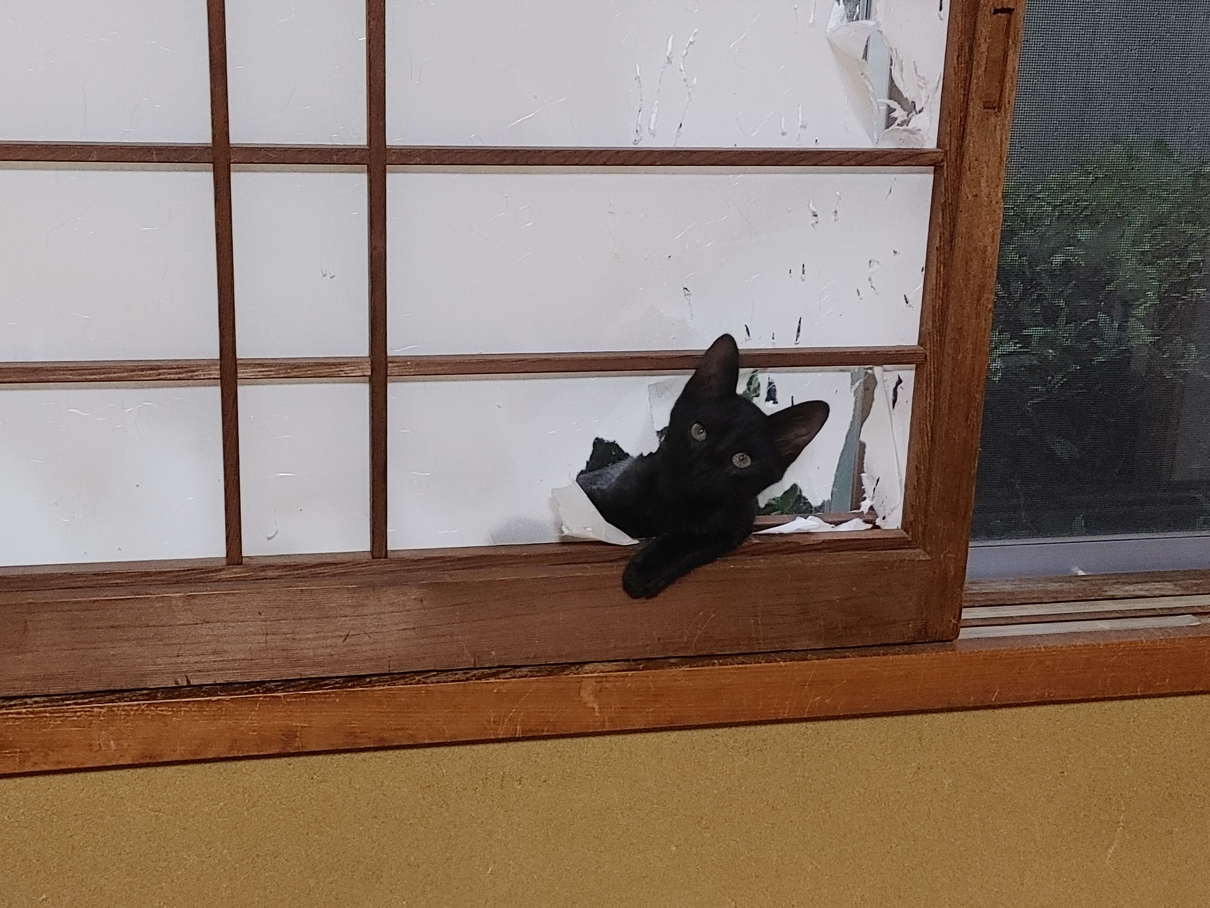 ないとうの不思議な話 59