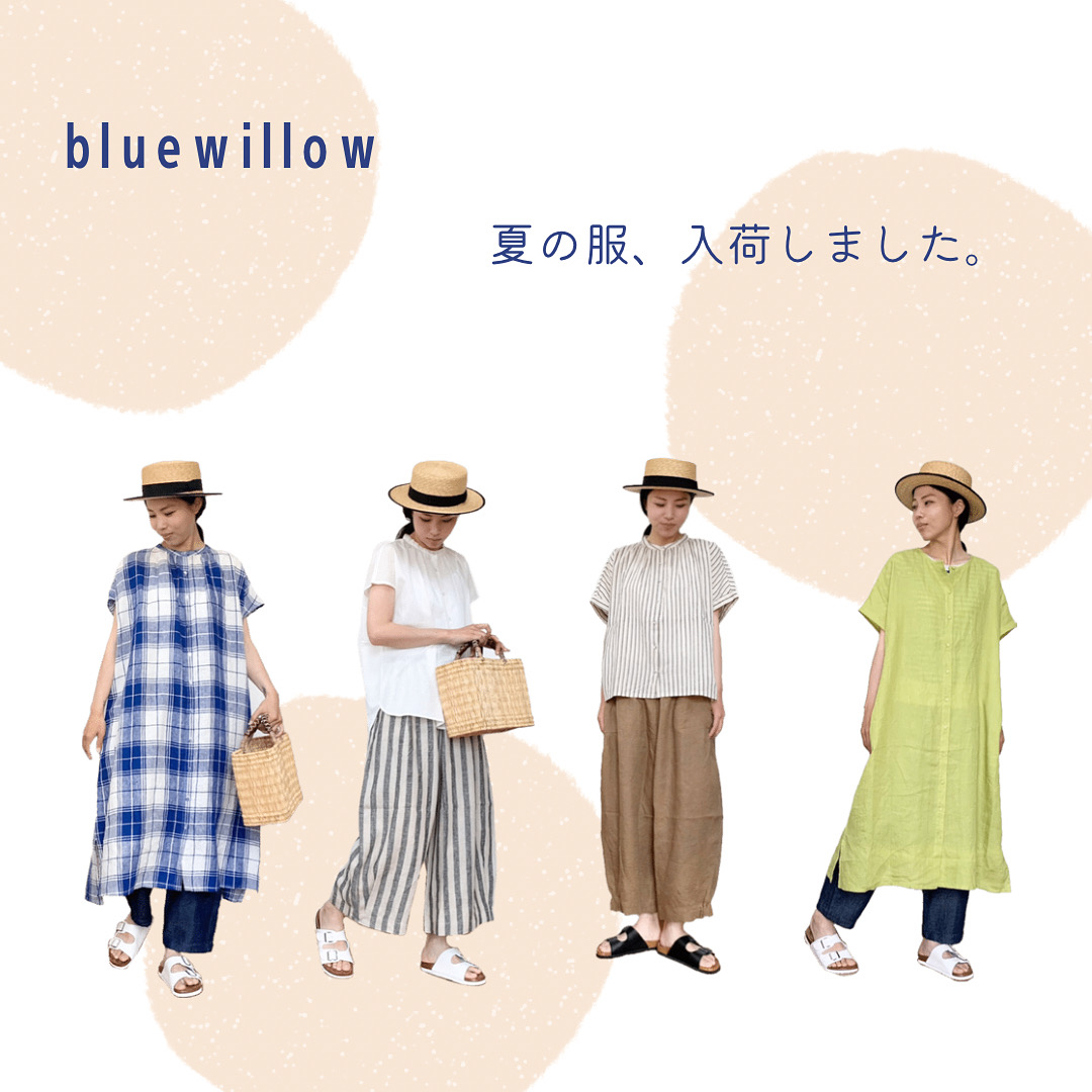・・bluewillow　新作入荷しました・・