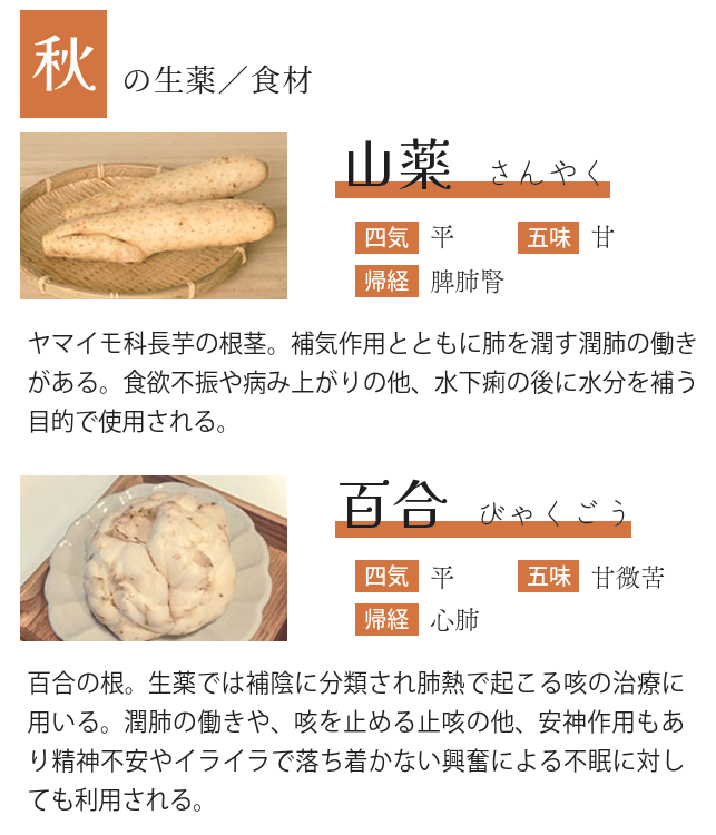 秋の乾燥注意！潤いを奪われる前の今からケア