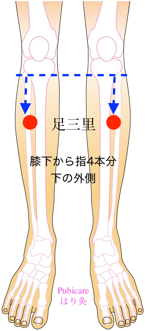 ピュビケアはり灸❣️夏疲れをリセット！秋の準備に