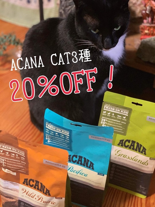 ACANA猫用フード 数量限定20%OFF！
