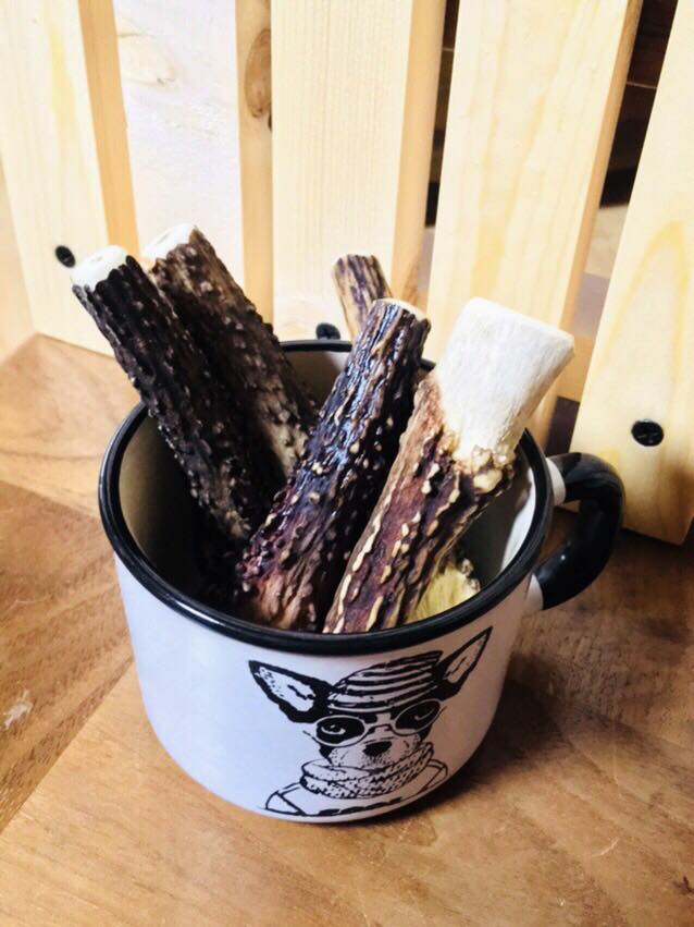 再販！！作州鹿の角！落ち角じゃないよ。