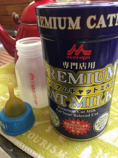 初めが肝心！おすすめキャットミルク☆