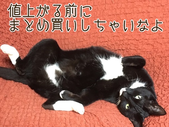 ニュートロ製品が６月より値上がりします！