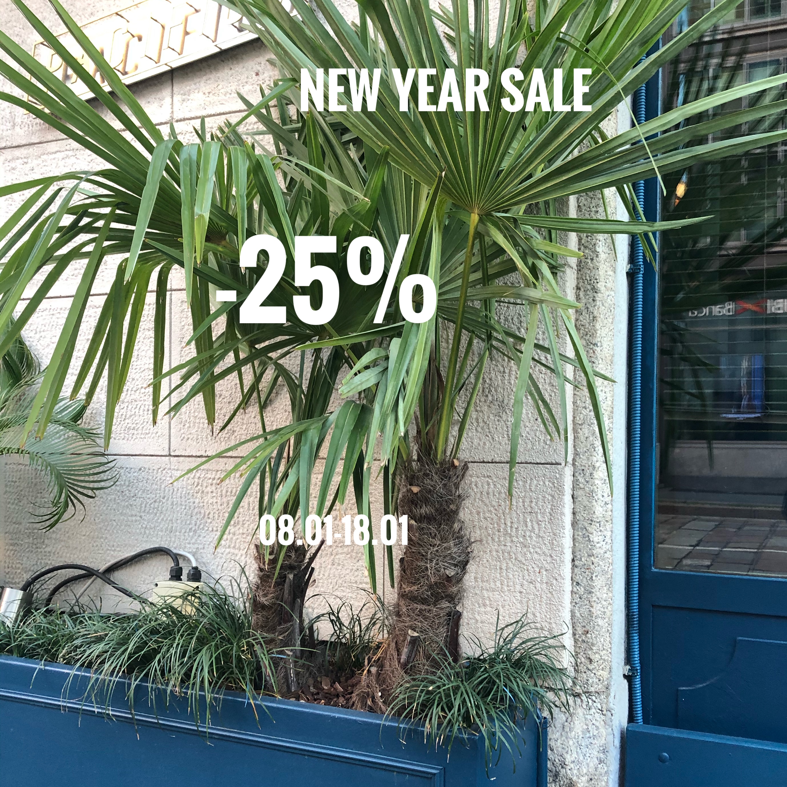 🥬🐁-25% NEW YEAR SALE!!!🐁🥦