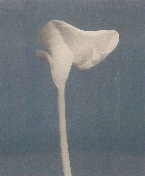 あと4日でセールが終了致します🌸