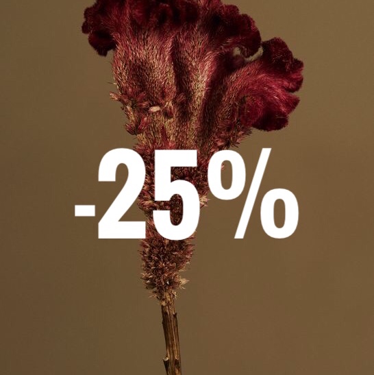 ２５%OFF