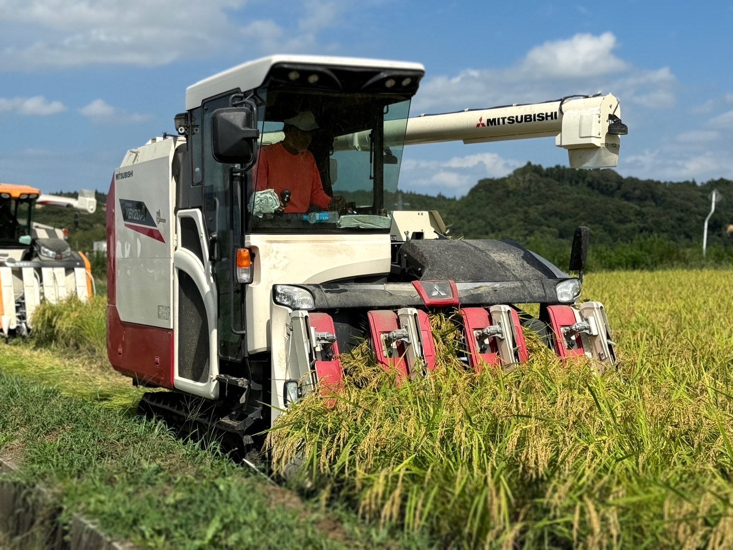 【R6年度稲刈り🌾】