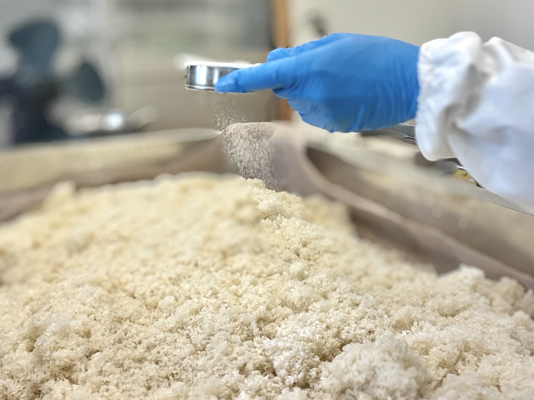 【明けましておめでとうございます】