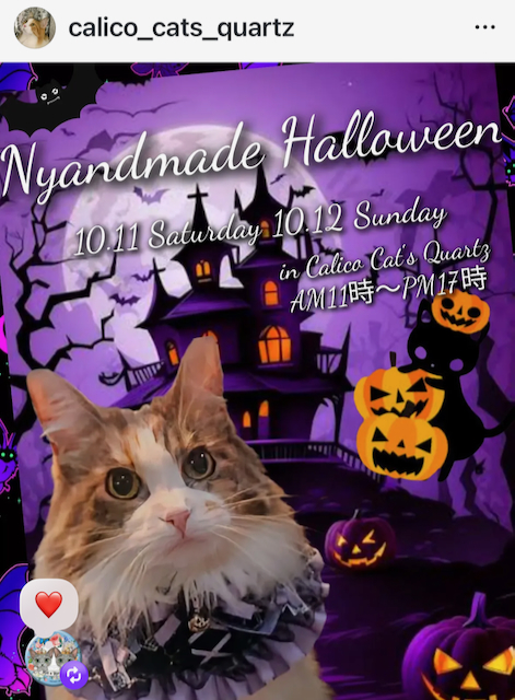 イベント出展します