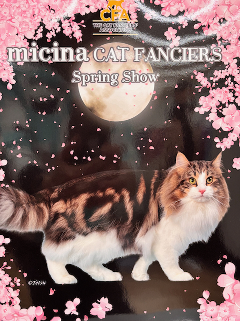 キャットショーに出店しました❣️