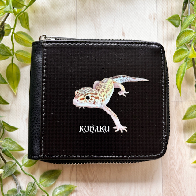 ヒョウモントカゲモドキのKOHAKUくんのお財布