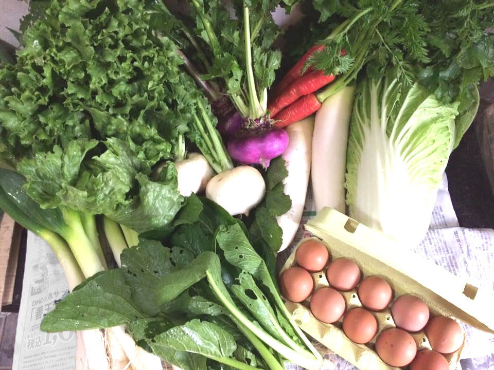 期間限定です！！麦畑自然農場の無農薬・冬野菜セット、お届けします♪