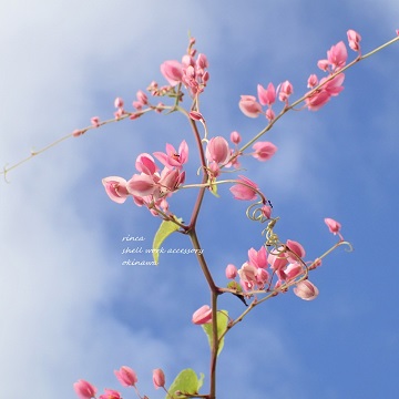 花盛り