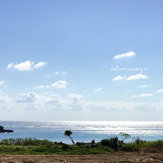 海