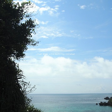 海日和