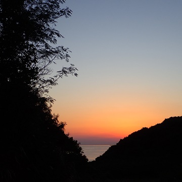 朝