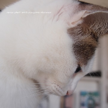 贈り物