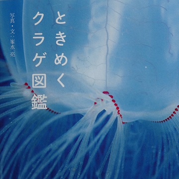 ときめくもの