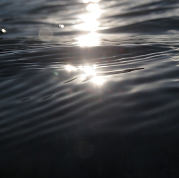 今年もお世話になりました