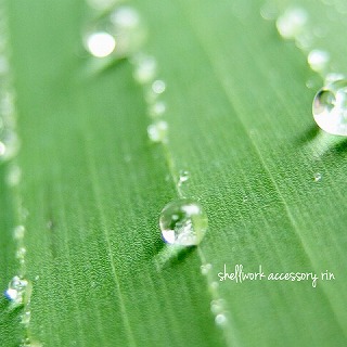 雨粒