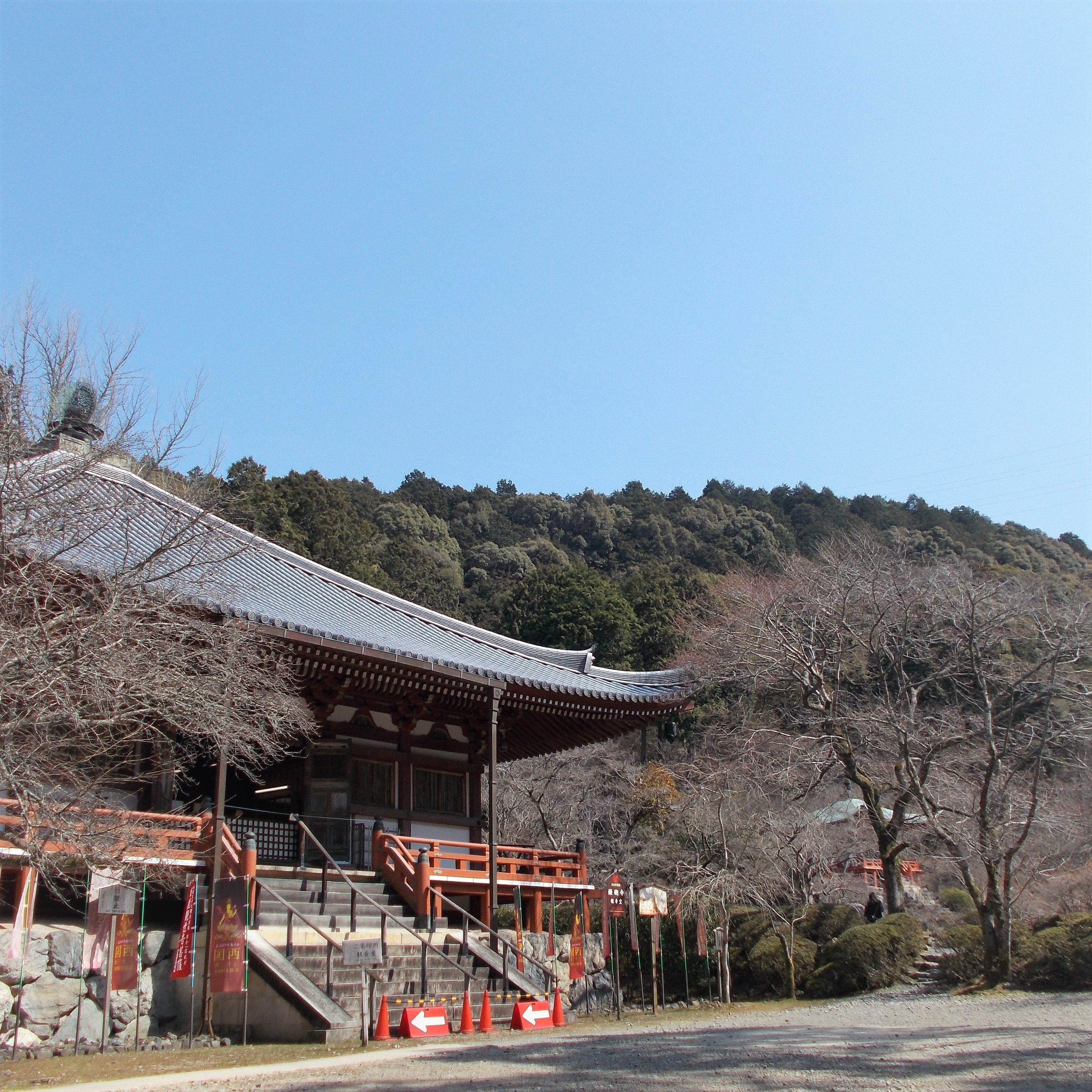 桜で有名な世界遺産「醍醐寺」は