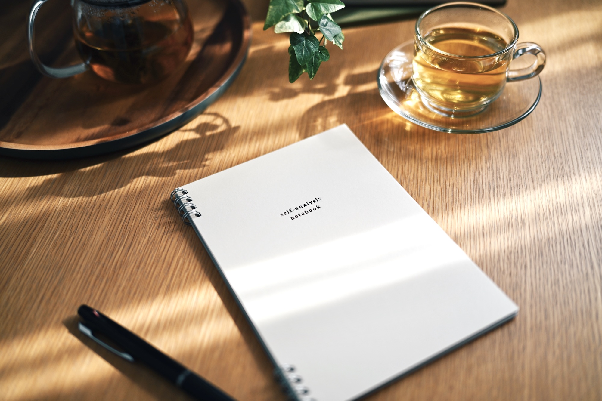 7月の発送日スケジュールはこちら