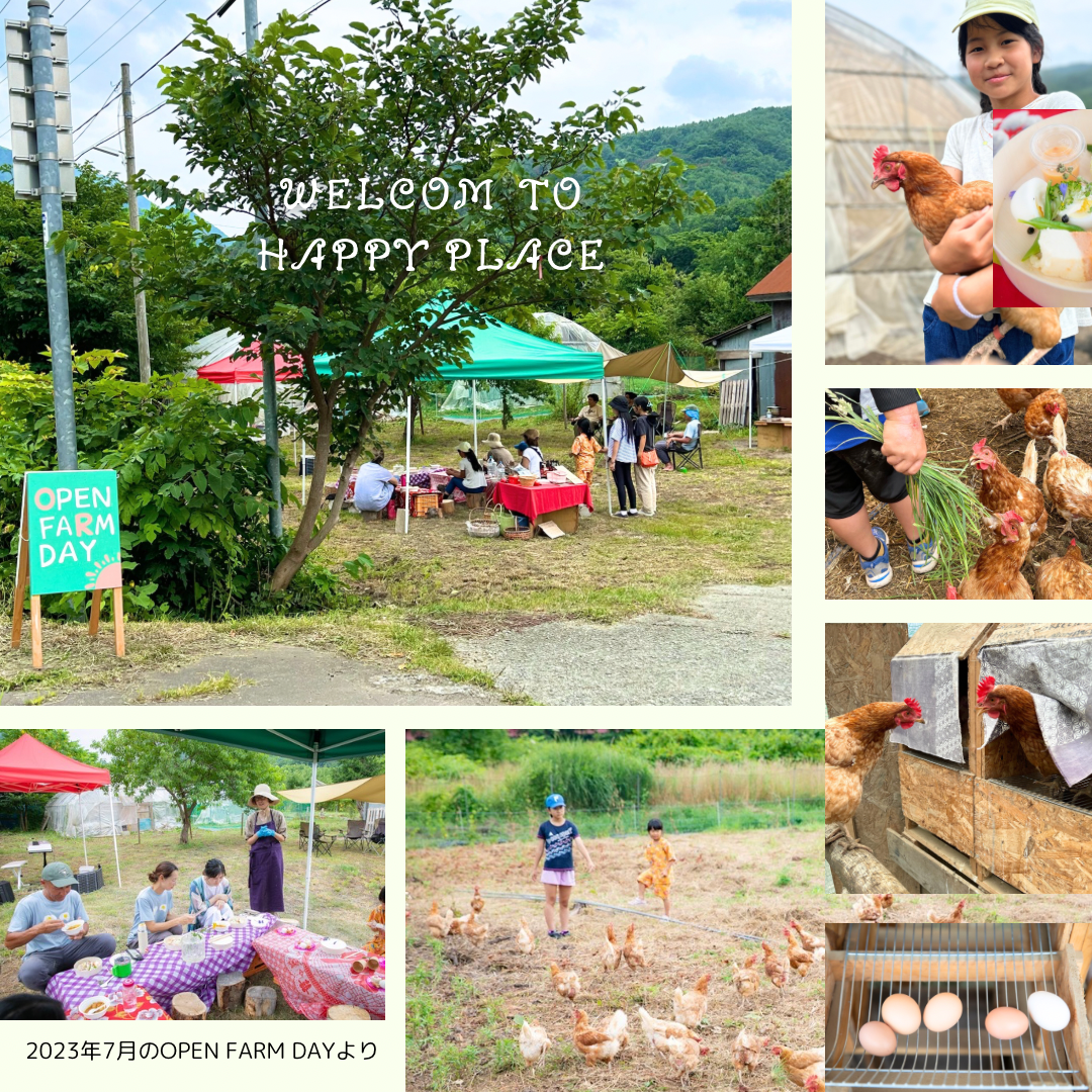 Open farm day 2024開催のお知らせ