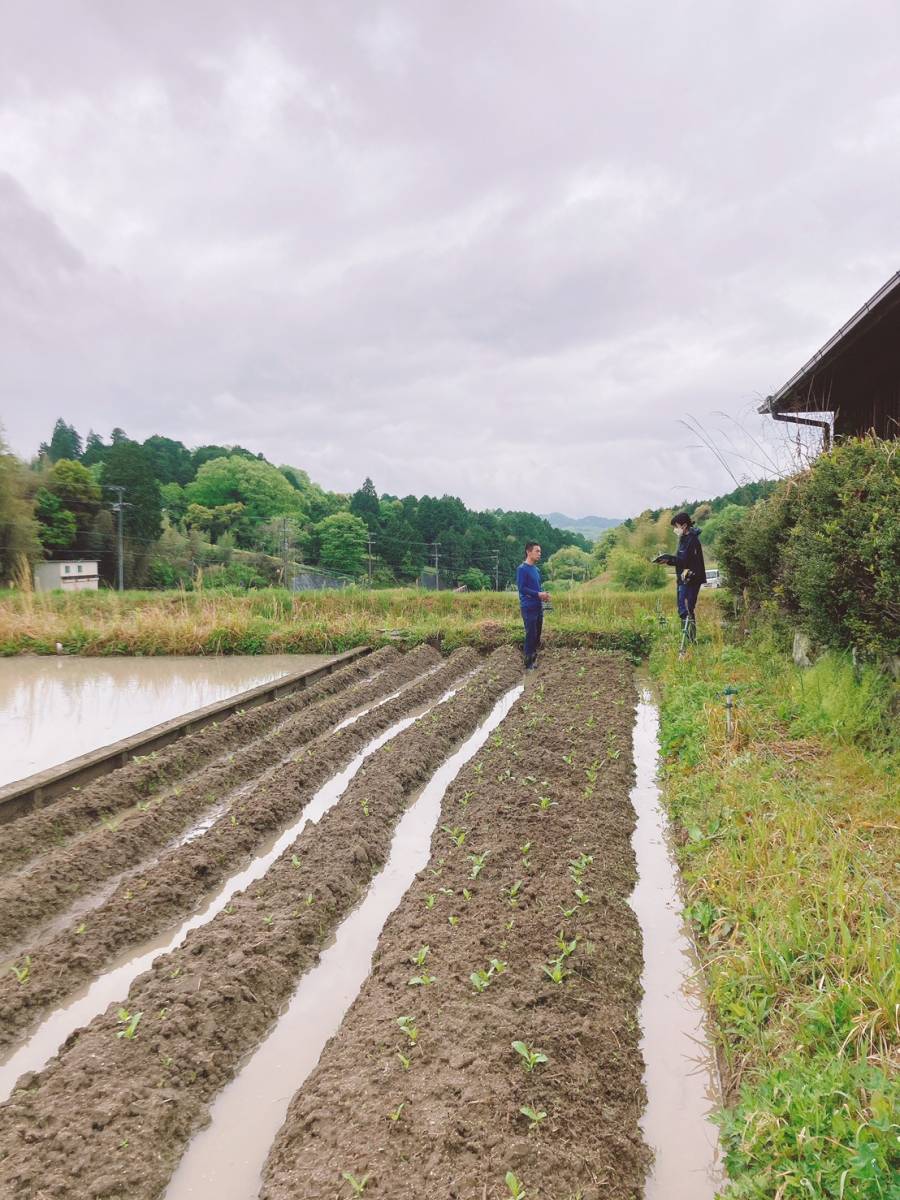 20日　朝日新聞朝刊（奈良版）に烏梅の記事が掲載されます