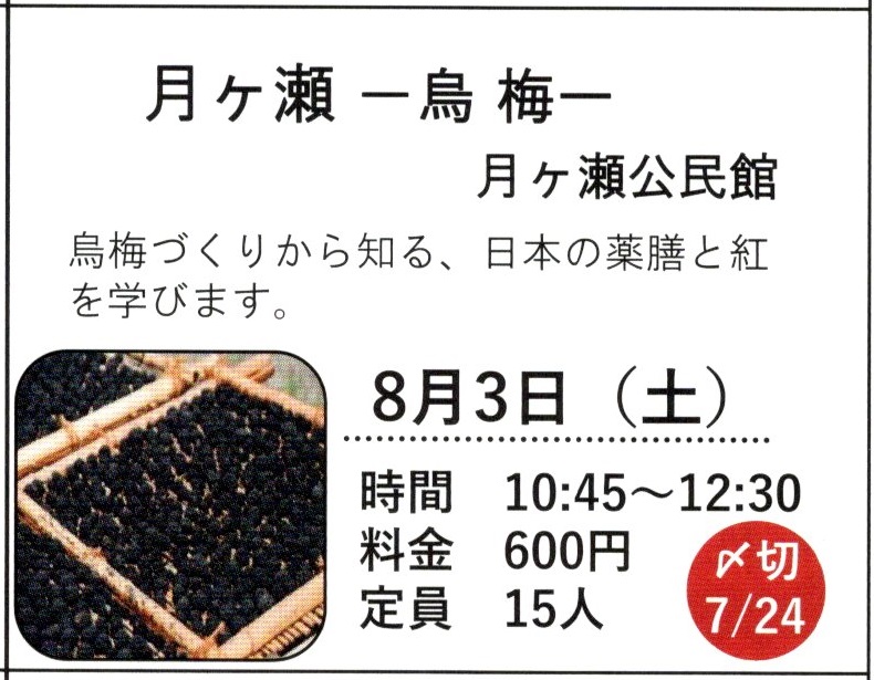 烏梅と紅花の講演会