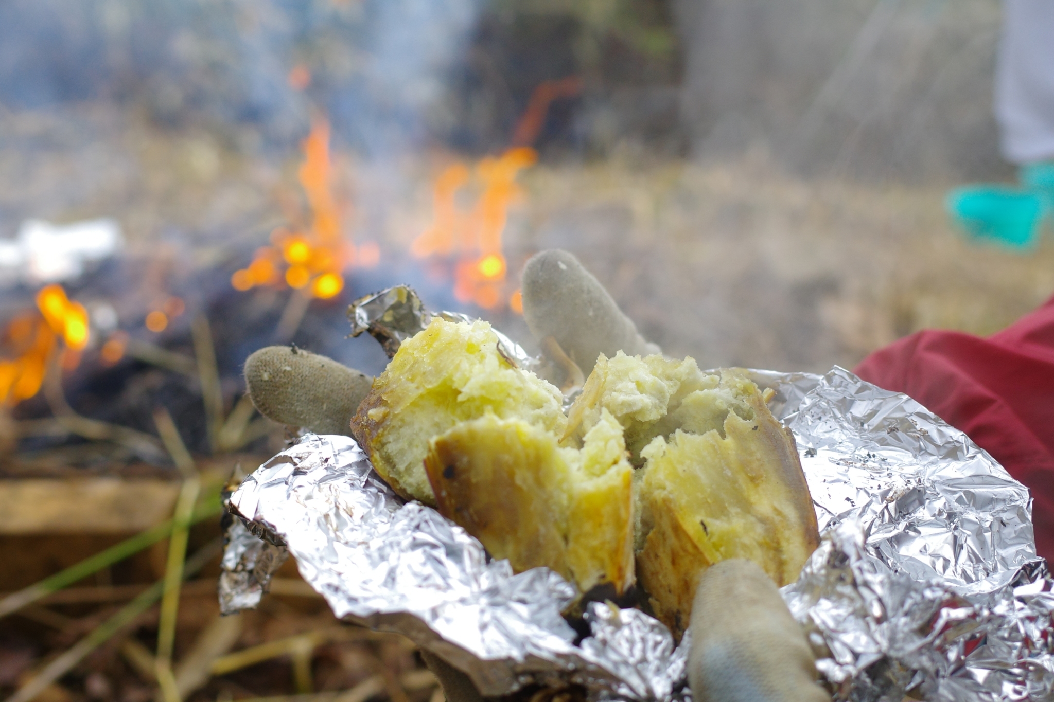 帝塚山大学　TEZ芋　焼き芋大会