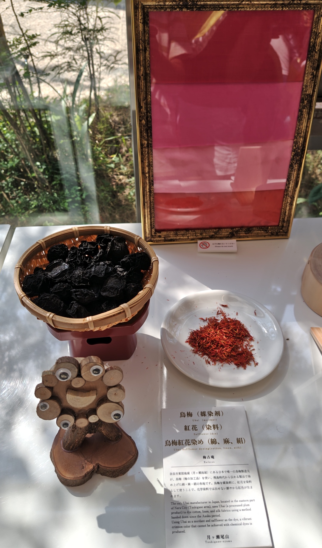 大阪関西万博で烏梅と紅花染めを展示しています。