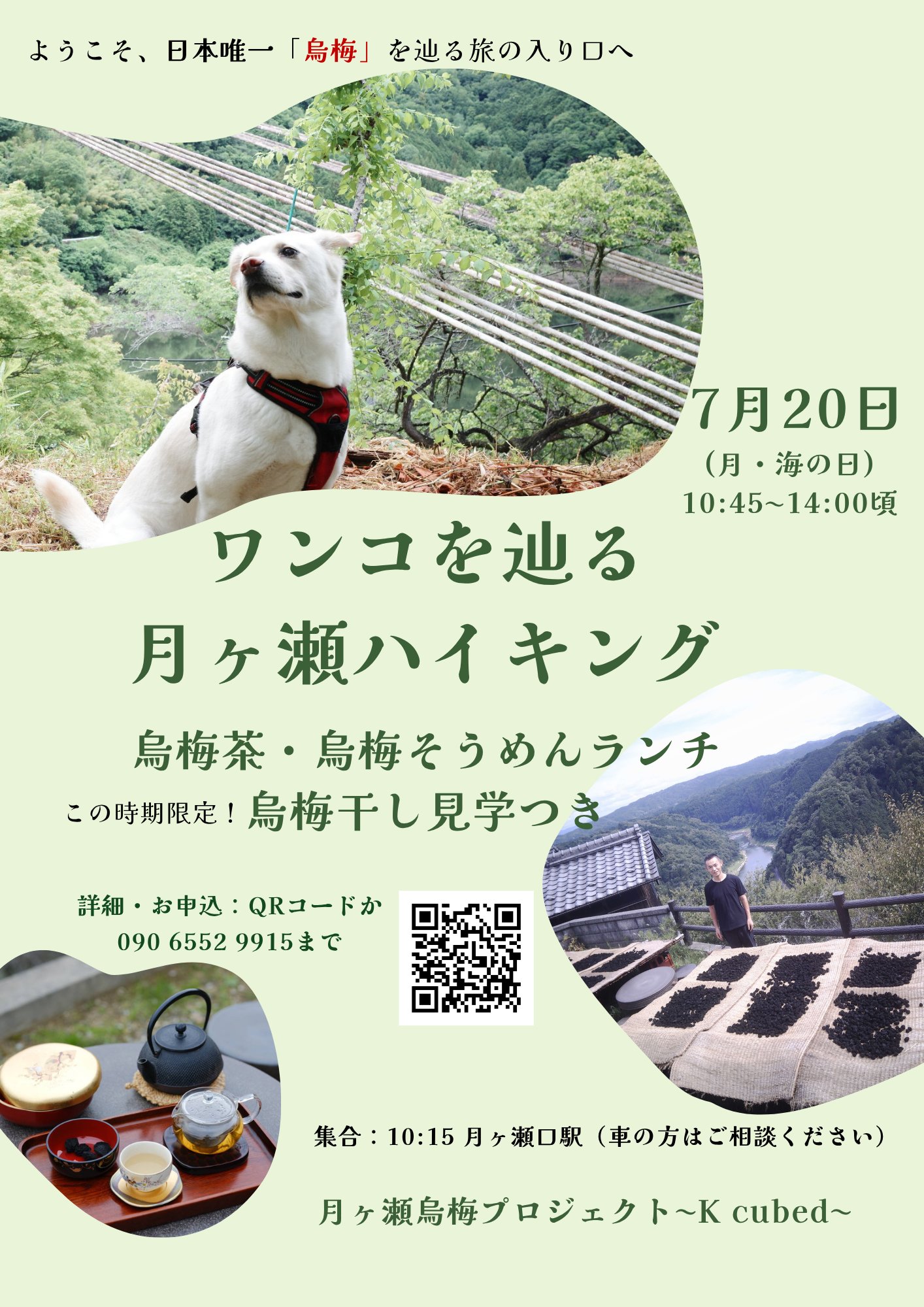 ハイキング