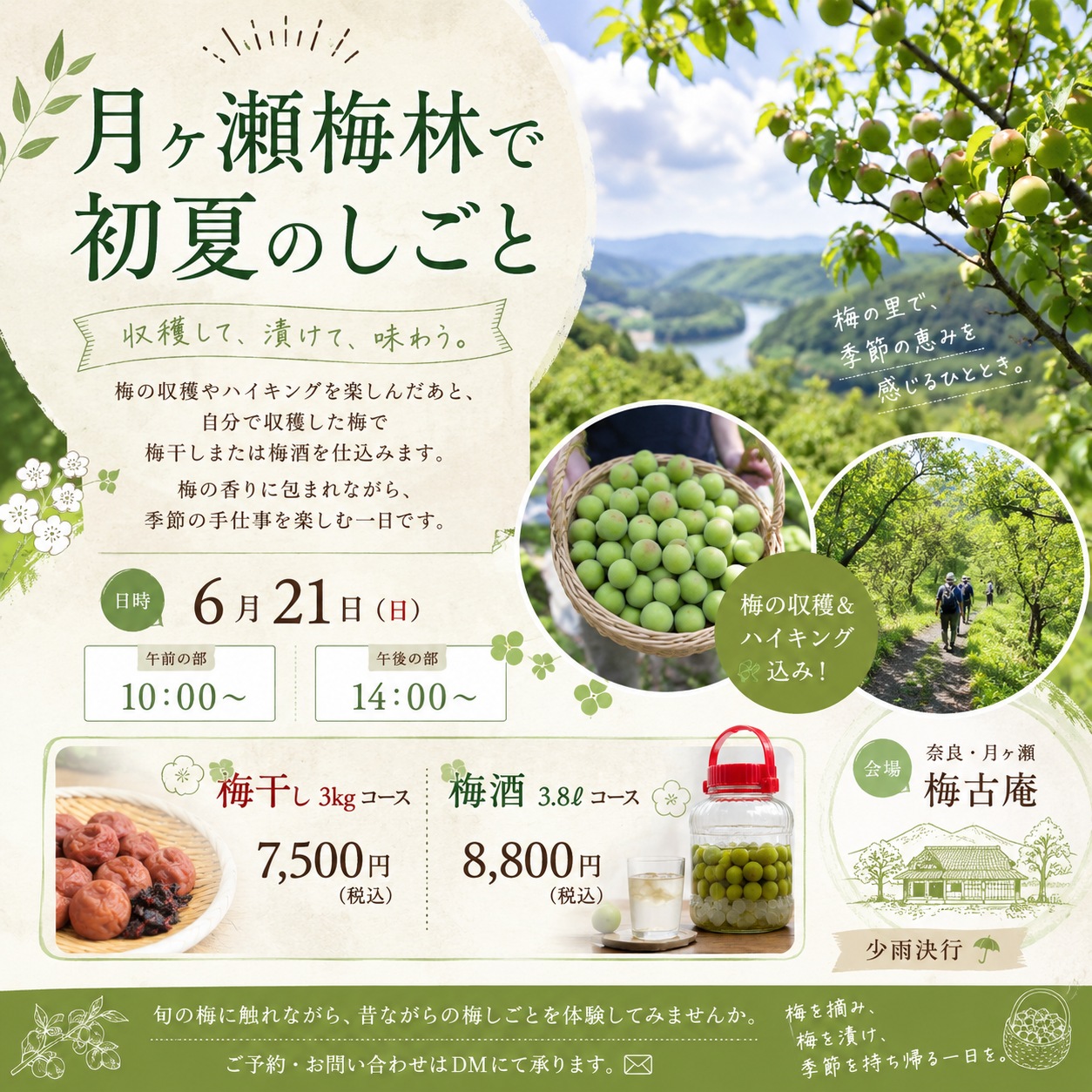 梅干しつくり体験