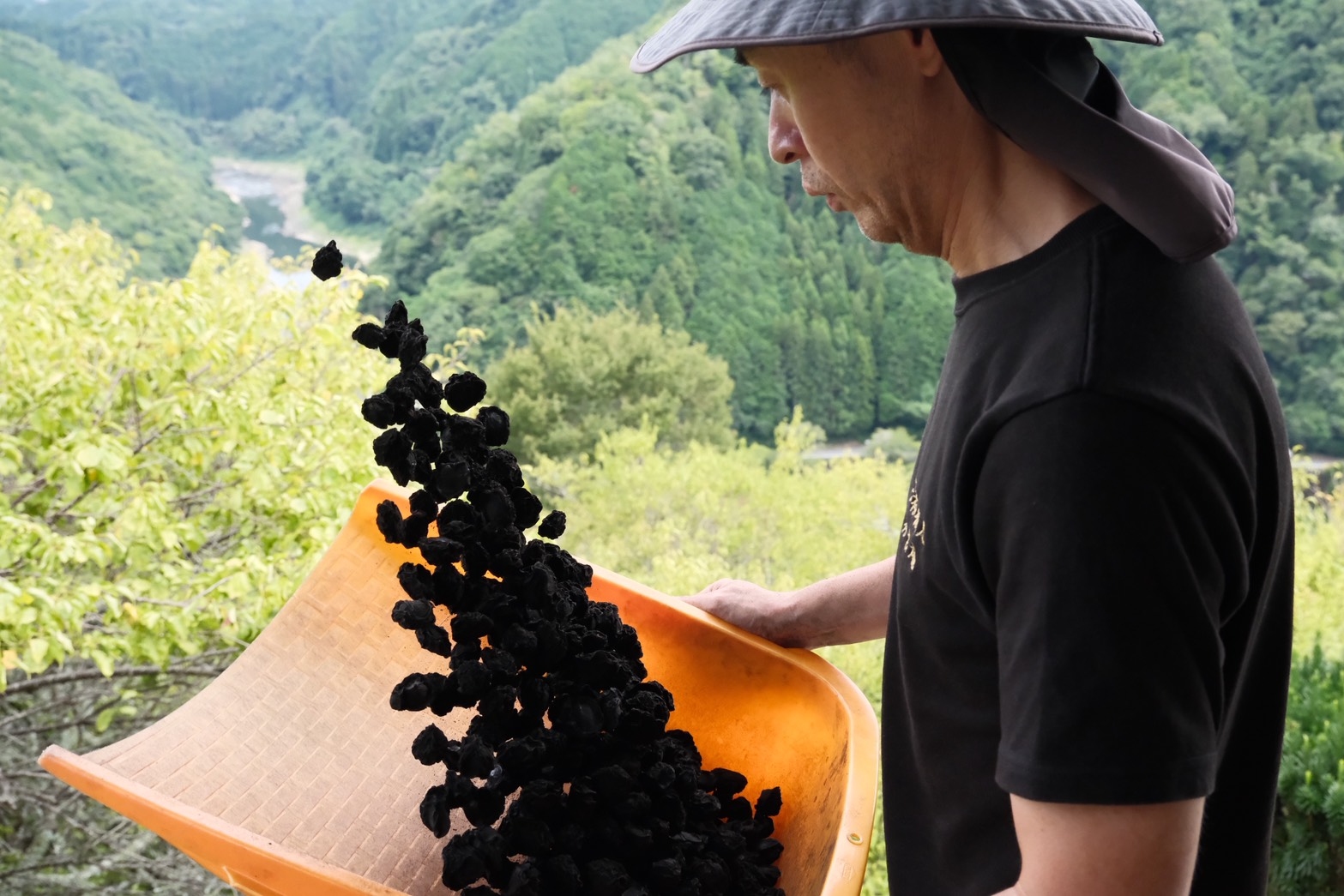 烏梅完成