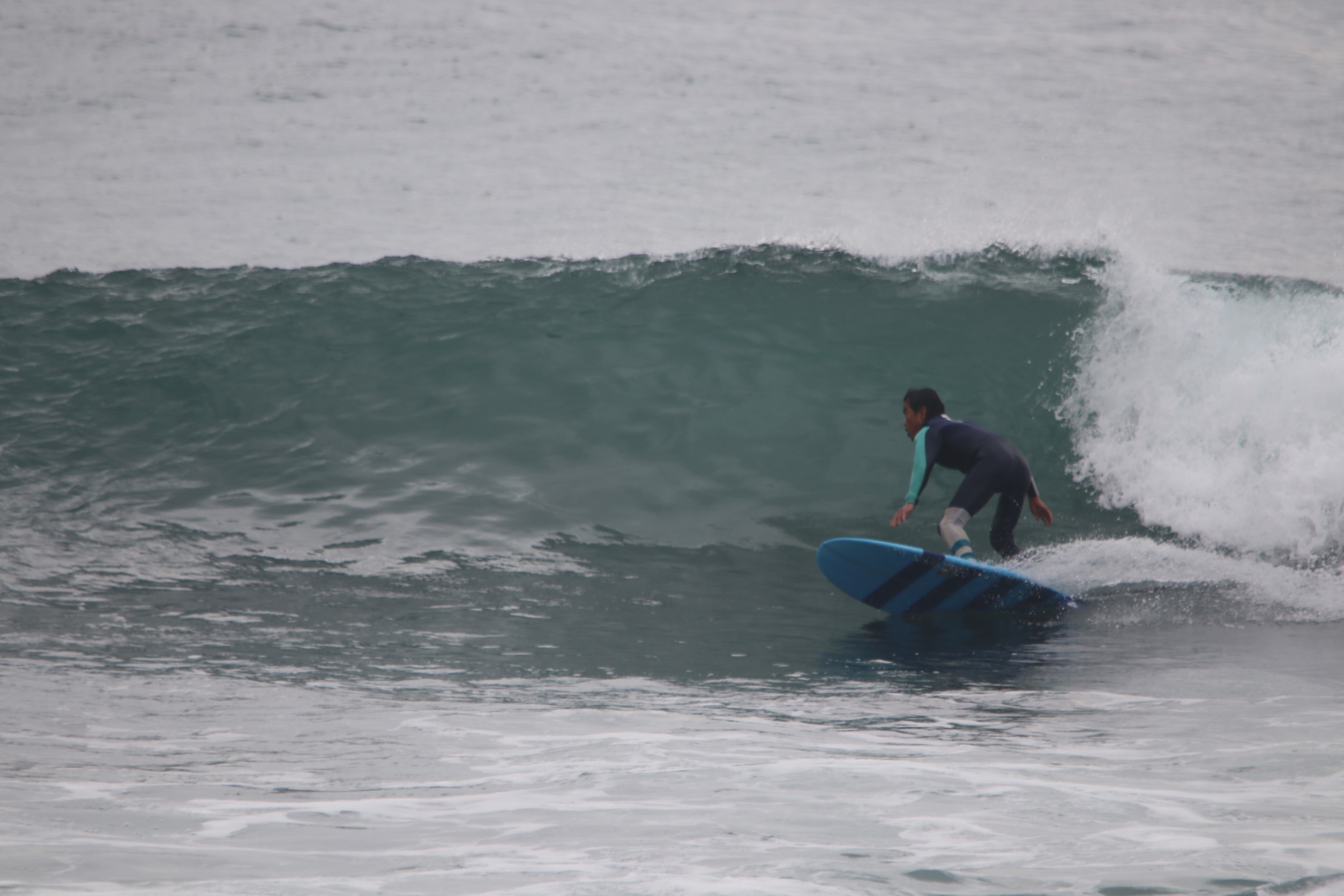 nice ファンwave