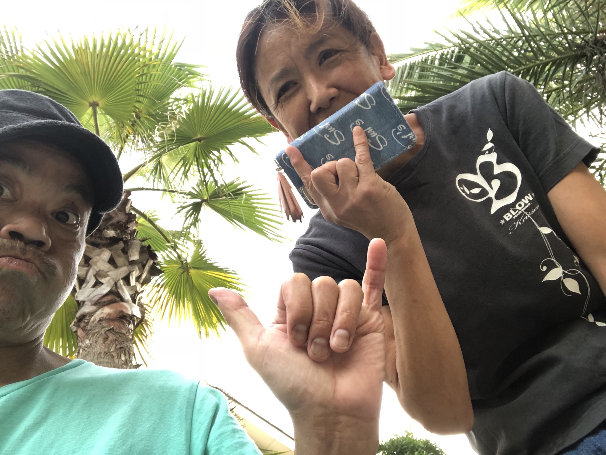 ヤシの木散歩