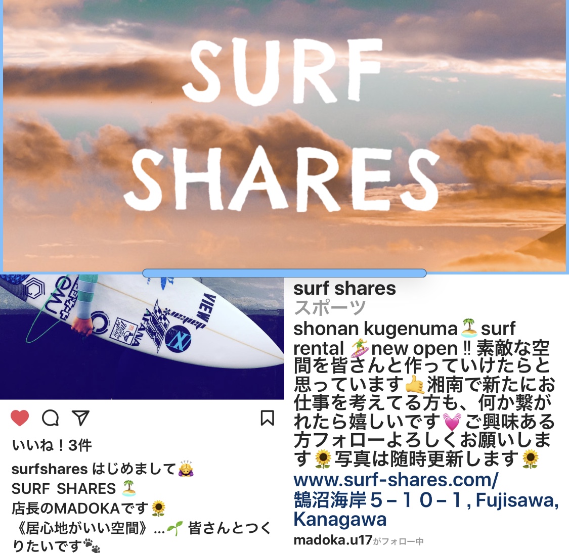 SURF  SHARES